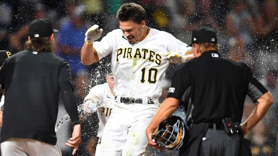 Reynolds' walkoff a reminder why he's someone to build around taken at PNC Park (Pirates)